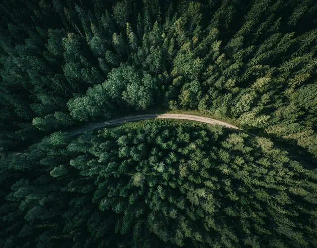Über CO2-Bindung hinaus: Biodiversitätsförderung