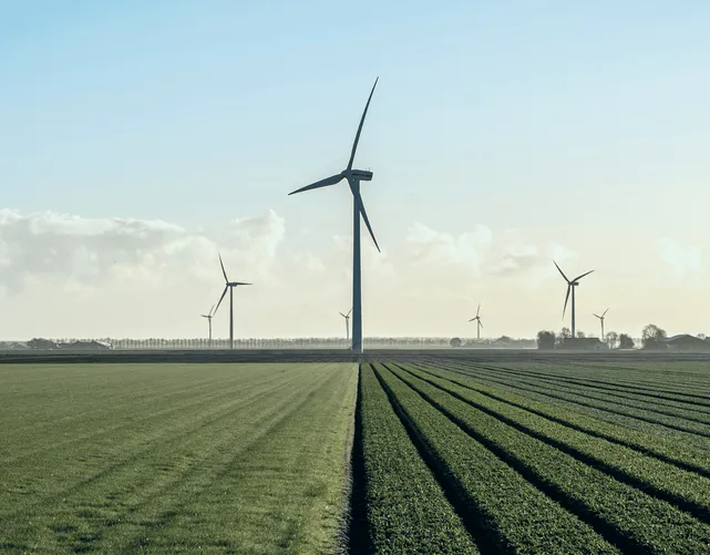 Das enorme Wachstumspotenzial des CO2-Marktes. Treiber des Marktwachstums